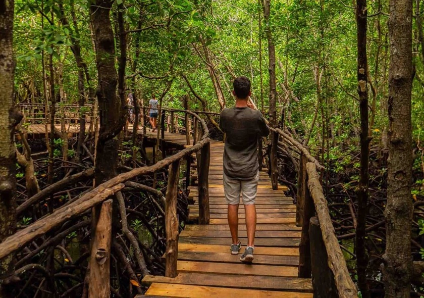 Jozani Forest + Spice Farm & Prison Island