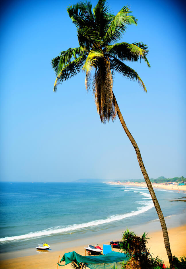 Top Places in Zanzibar