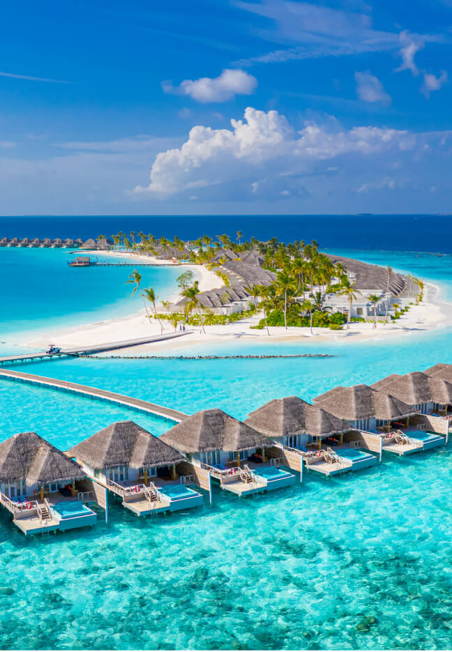 Tanzania Safari Experience